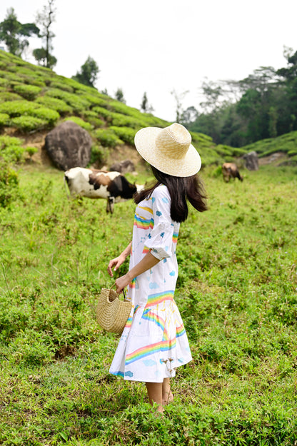 Rainbow Gathered Dress