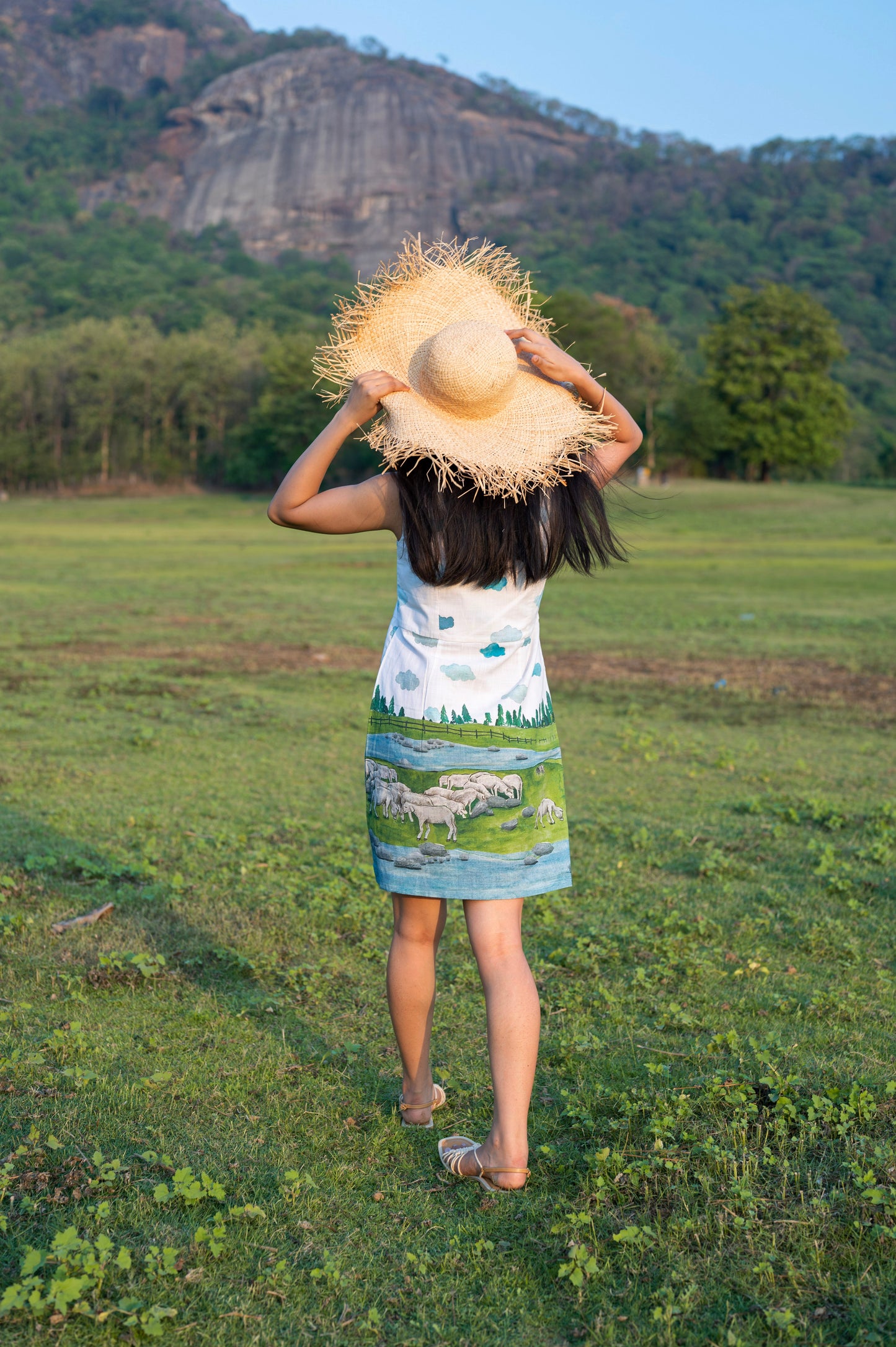 Shepherd Pocket Dress